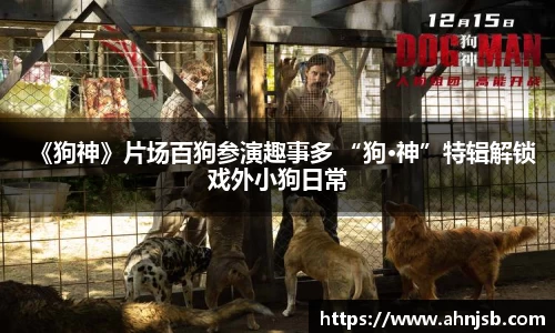 97国际登录入口